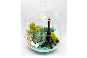 Plant Nite: Paris Hanging Globe with Fairy Lights